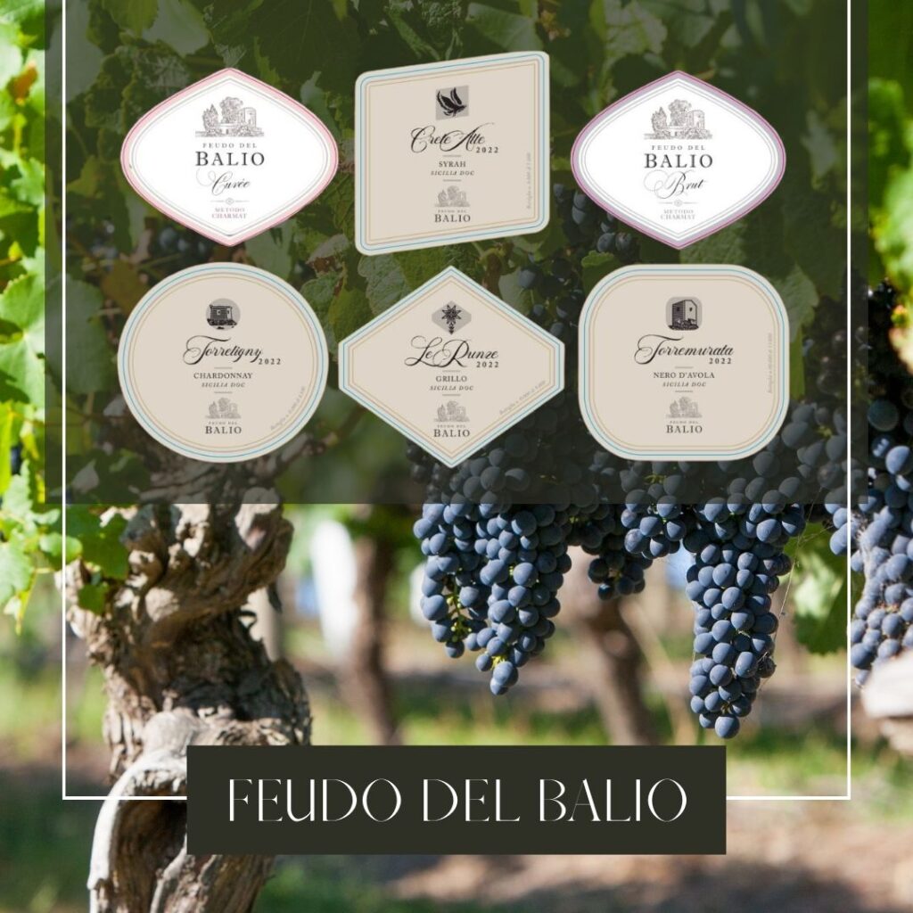 Vini Siciliani Biologici d'Eccellenza
